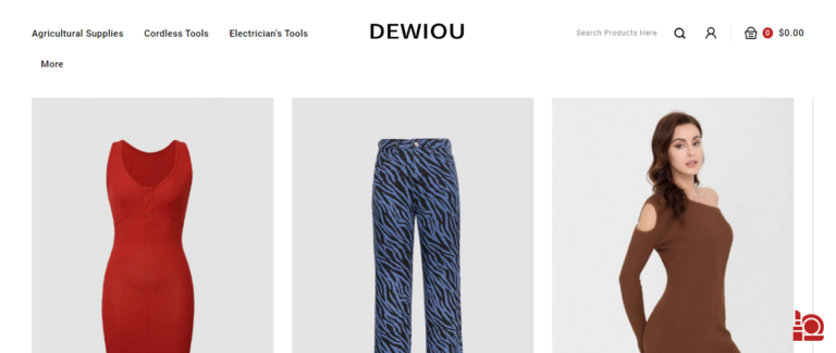 Dewiou: A Scam or a Safe Haven for Online Shopping? Our Honest Reviews