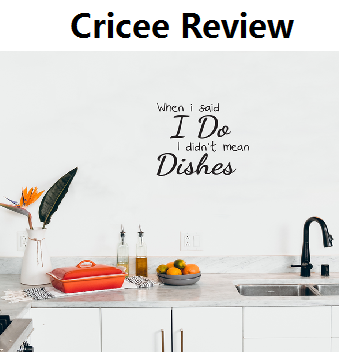 Cricee Reviews: Cricee Scam or Legit?