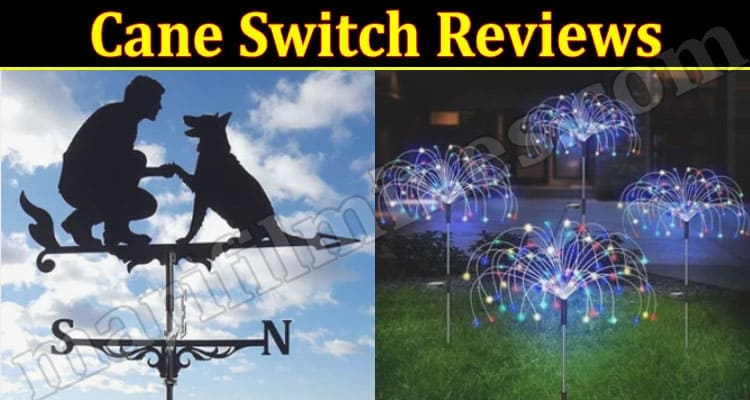 Cane Switch Reviews: Buyers Beware!