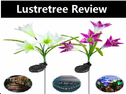 Lustretree Review: Lustretree Scam or Legit?