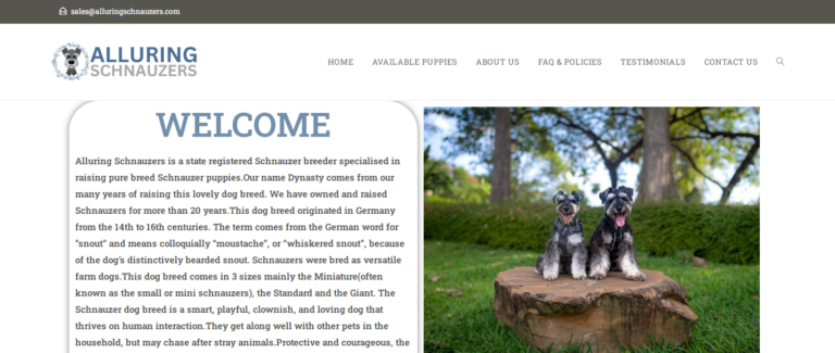 Alluringschnauzers Review: What You Need to Know Before You Shop
