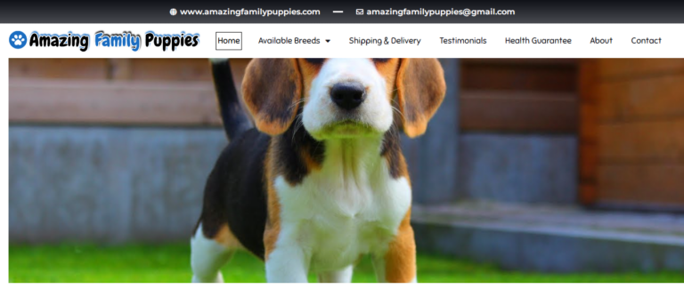Amazingfamilypuppies Reviews: What You Need to Know Before You Shop