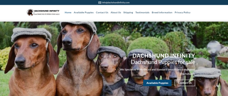 Dachshundinfinity Reviews: Is it Worth Your Money? Find Out