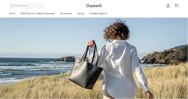 gayeaxb shop Review – Scam or Legit? Find Out!