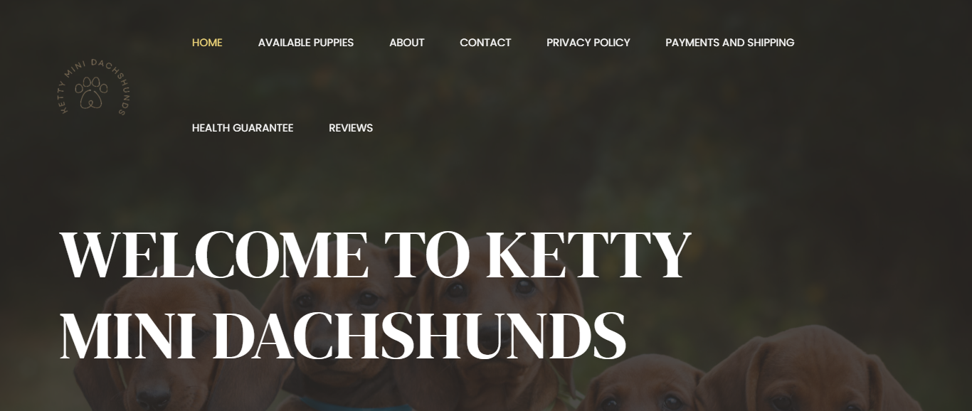 Kettyminidachshunds review legit or scam