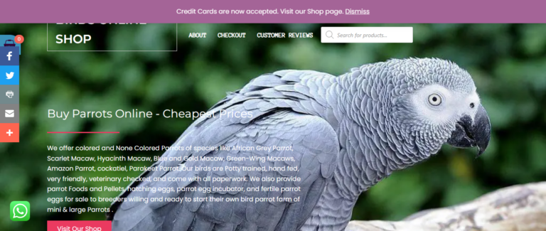 Parrotssaleonline Reviews: What You Need to Know Before You Shop