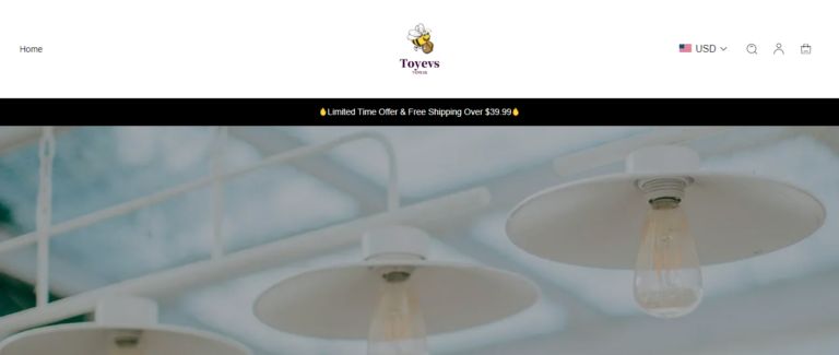 Toyevs: A Scam or a Safe Haven for Online Shopping? Our Honest Reviews