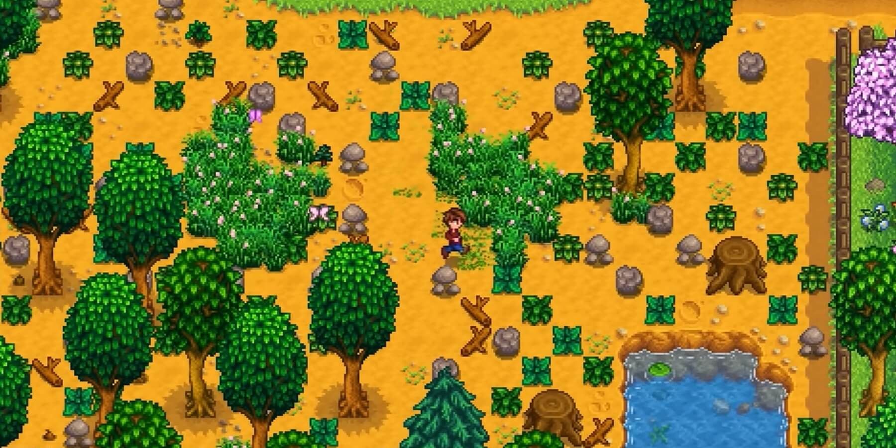 Min-Maxing in Stardew Valley: Strategies for Optimal Progress